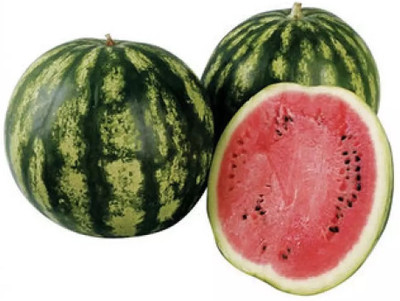 Quentova Tropical Fruit Watermelon/तरबूज के बीज-XII-22P Seed(150 per packet)