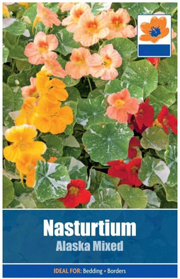 CYBEXIS Nasturtium Alaska Mixed Seeds Seed(1 g)