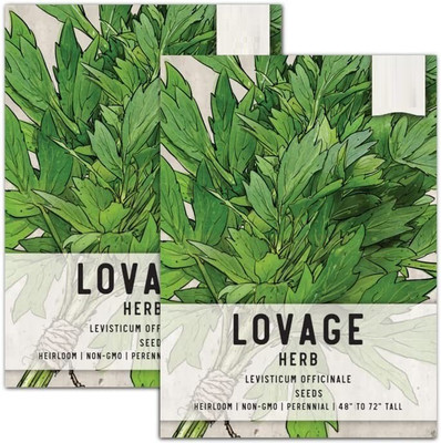 CYBEXIS NBIR-59 - Lovage Herb - (2250 Seeds) Seed(2250 per packet)