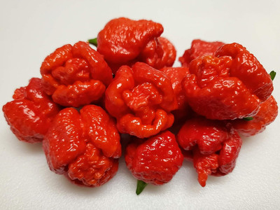 Biosnyg Trinidad Moruga Scorpion Pepper Seeds For Kitchen Gardening-(2000 Seeds) Seed(2000 per packet)