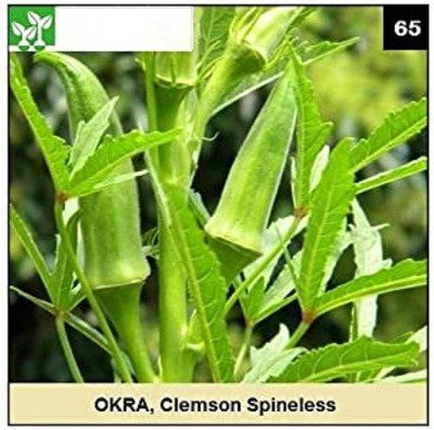 CYBEXIS CLEMSON SPINELESS OKRA-200 Seeds Seed(200 per packet)