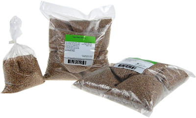 WILLVINE Hybrid Hard Red Wheat Sprouting Seed-[10000 Seeds] Seed(10000 per packet)
