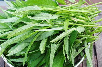 CRGO SPINACH , PALAKH Seed(80 per packet)