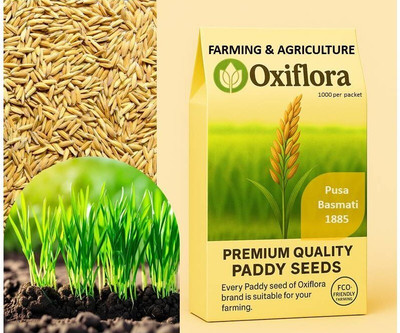 Oxiflora Pusa Basmati 1885 Paddy Seeds & Farming & Agriculture Seed(1 kg)