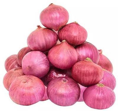 WATIKA Nasik Super Red (कांदा) Onion Seed(200 per packet)