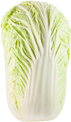 CYBEXIS Hybrid Chinese Cabbage Seeds2000 Seeds Seed(2000 per packet)