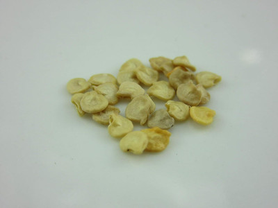 Qualtivate RES-8A Bolivian Rainbow Chilli Pepper Seed(300 per packet)