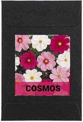 CYBEXIS Cosmos Flower Seeds100 Seeds Seed(100 per packet)