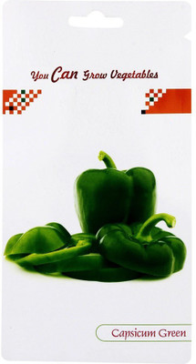 CYBEXIS Capsicum Seed(600 per packet)