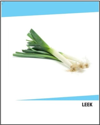 VibeX Hybrid Leek Seeds(500 Seeds) Seed(500 per packet)