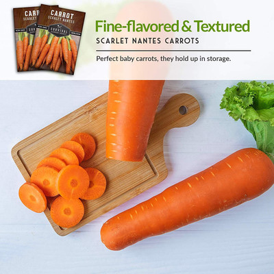 VibeX XLR-23 - Scarlet Nantes Carrot - (250 Seeds) Seed(250 per packet)