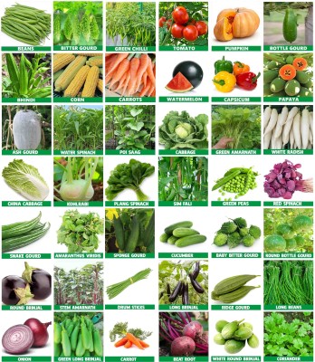 abiswas 40 Variety Summer Vegetable Combo Seed(2800 per packet)