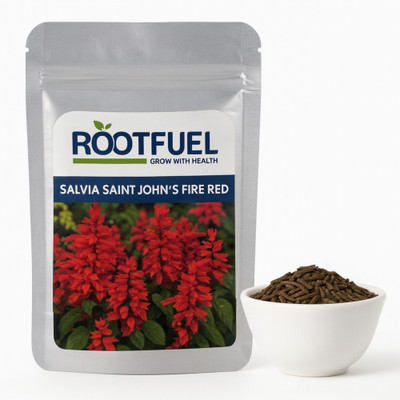 Happy Bazaar Salvia Saint Johns Fire Red Seed(200 g)