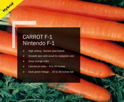 CYBEXIS CARROT F-1 Nintendo SEEDS(5000 Seeds) Seed(5000 per packet)