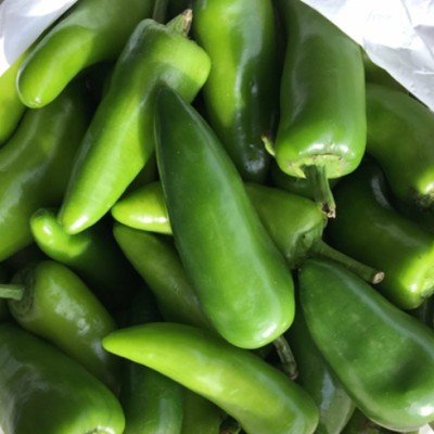 SeeGreen F1 Hybird Chilli Seeds, Green Chilli, Hot Paper Chilli, Organic Chilli Seed(150 per packet)