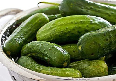 VibeX ® XXL-439 Heirloom Pickling Cucumber Seeds Seed(200 per packet)