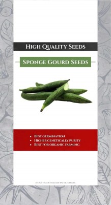 CYBEXIS VVI-38 - Sponge Gourd Vegetable - (900 Seeds) Seed(900 per packet)