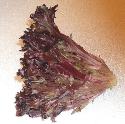 Qualtivate RES-4A Lettuce Seeds, Leaf - Red Tango Seed(300 per packet)