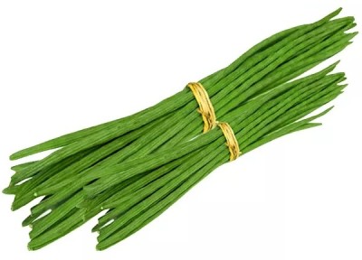 RSLT Drumsticks organic Moringa Oleifera /Sehjan Seed(100 per packet)