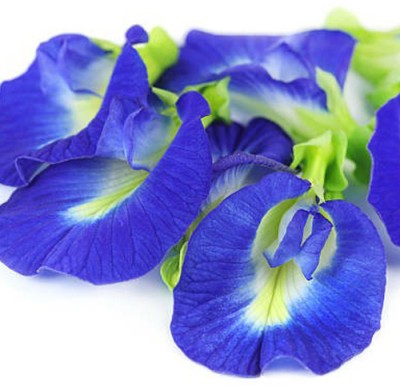 SeeGreen Aparajita Double Mixed Seeds All Color, Butterfly Pea Seeds, Clitoria Ternatea Seed(15 per packet)