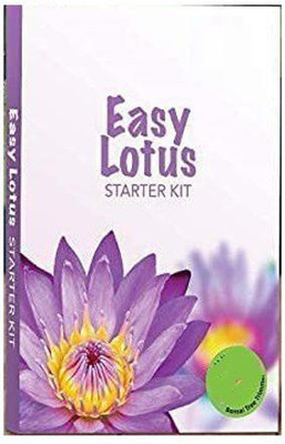 CYBEXIS XL-97 - Water Lily Flower Plant - (30 Seeds) Seed(30 per packet)