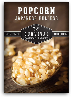 WILLVINE PUAS -IV Japanese Hulless Popcorn Seed-[500g] Seed(2000 per packet)