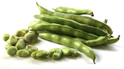 Avysa Broad Beans बाकला फली Vegetable Seed(40 per packet)