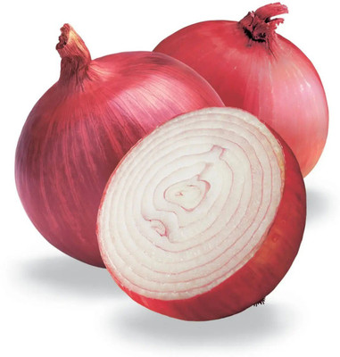 Quentova RED BURGUNDY ONION-VISHVA-5F Seed(300 per packet)