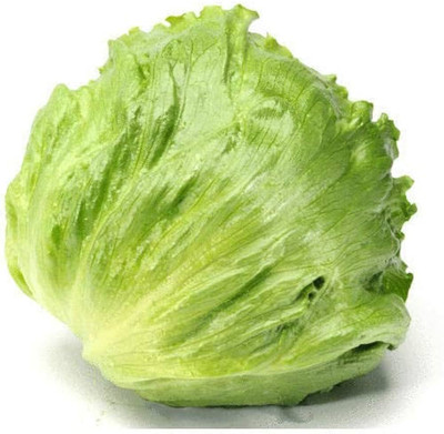 Dbbrothers Iceberg lettuce seeds Pack of 24 Seed(24 per packet)