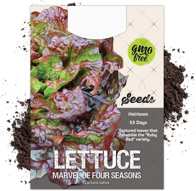 Qualtivate XLR-144 Marvel of Four Seasons Lettuce Seed(200 per packet)