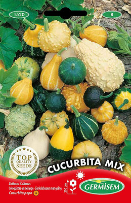 CYBEXIS Cucurbita Mix Pumpkin Seeds 400 Seeds Seed(400 per packet)