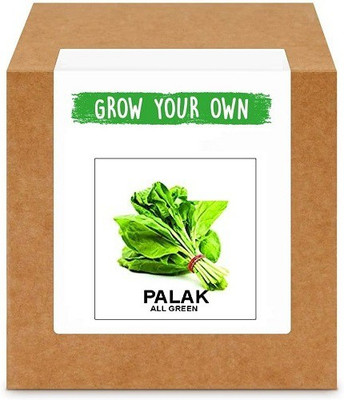 CYBEXIS Palak All Green/Spinach-100 Seeds Seed(100 per packet)