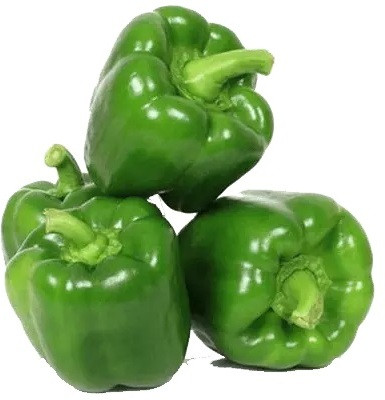 Kirat Organic Green Capsicum Seed(100 per packet)