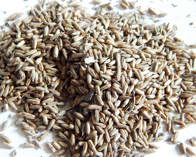 Urancia Apamarga Latjira Chirchita Seed Prickly Chaff 100gm for Pooja Highly Sacred Seed(1 per packet)