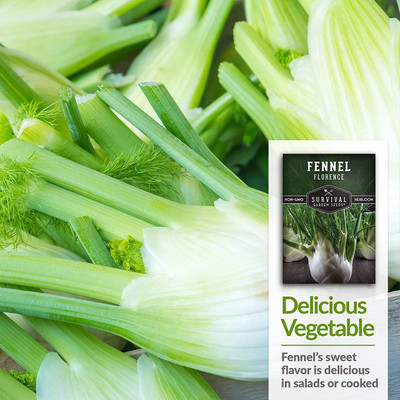 VibeX XLL-86 - Sweet Fennel - (750 Seeds) Seed(750 per packet)