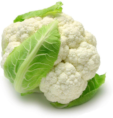 WILLVINE Fast Germination CAULIFLOWER F1 HYBRID SEEDS-[2000 Seeds] Seed(2000 per packet)