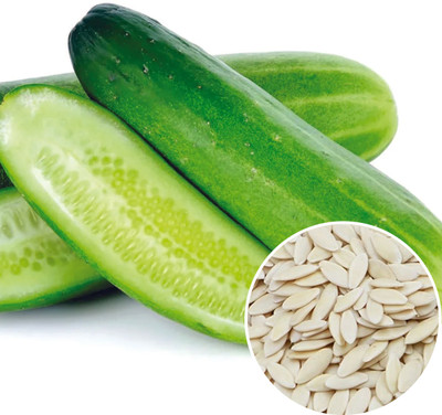 Nelgates Cucumber Seed(50 per packet)