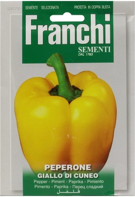 CYBEXIS Pepper Giallo Di Cuneo Yellow Capsicum Seeds2400 Seeds Seed(2400 per packet)