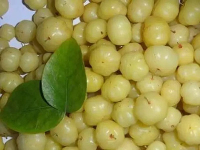 Aro Gooseberry, Amla Seed(67 per packet)