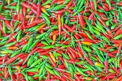 Aywal Long Heirloom Chilli Seed(100 per packet)