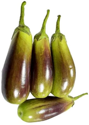 LPR brinjal Seed(30 per packet)