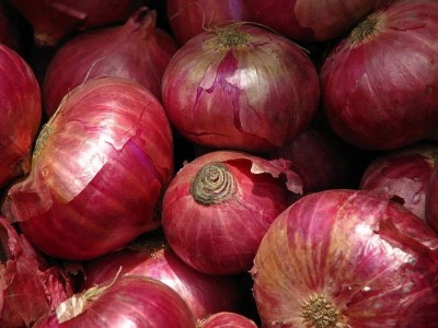 Quentova RED CREOLE ONION-NST-5Z Seed(250 per packet)