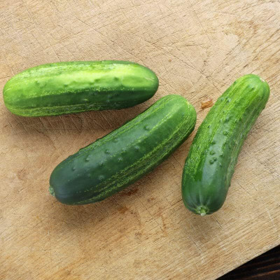 Qualtivate GBPT-3A Cucumber - Eureka Variety Seed(300 per packet)