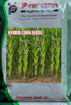 HYBRID 1kg corn/ maize/makka seeds highest yield variety long bhutta Seed(1 per packet)
