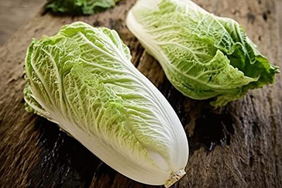 WILLVINE PUSA -X Chinese Cabbage Veg Seeds [2.5g] Seed(750 per packet)