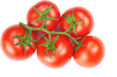 VRAKSHA BUSH CHAMPION II TOMATO Seed(500 per packet)