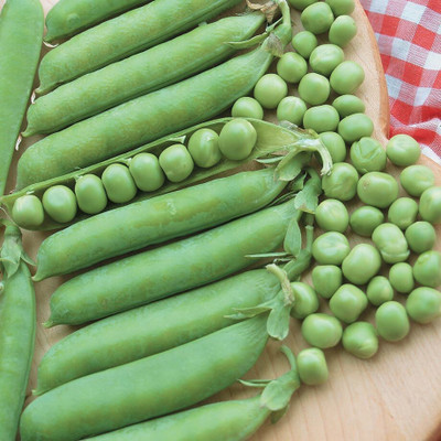 Avysa Super Sweet Peas Matar Seed(800 per packet)
