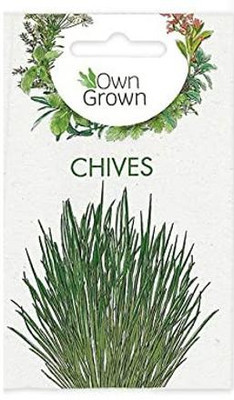 CYBEXIS Chives Heirloom Herb Seeds700 Seeds Seed(700 per packet)