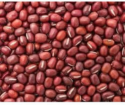 HAMPHU MSTP PLANT & SEEDS HYBRID BORBOTI SEEDS PACK OF 20 Seed(20 per packet)