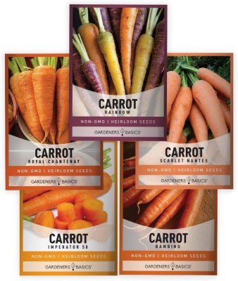 CYBEXIS GUA-32 Carrot 5Rainbow,Imperator,Scarlet,Nantes,Bambino,Chantenay (750 Seeds) Seed(750 per packet)